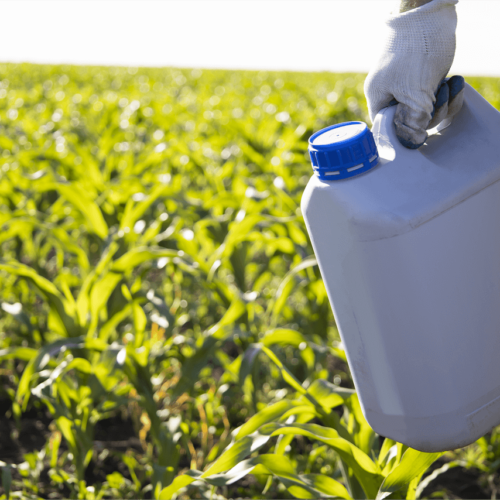 Venda de insumos agrícolas e Assistência Técnica